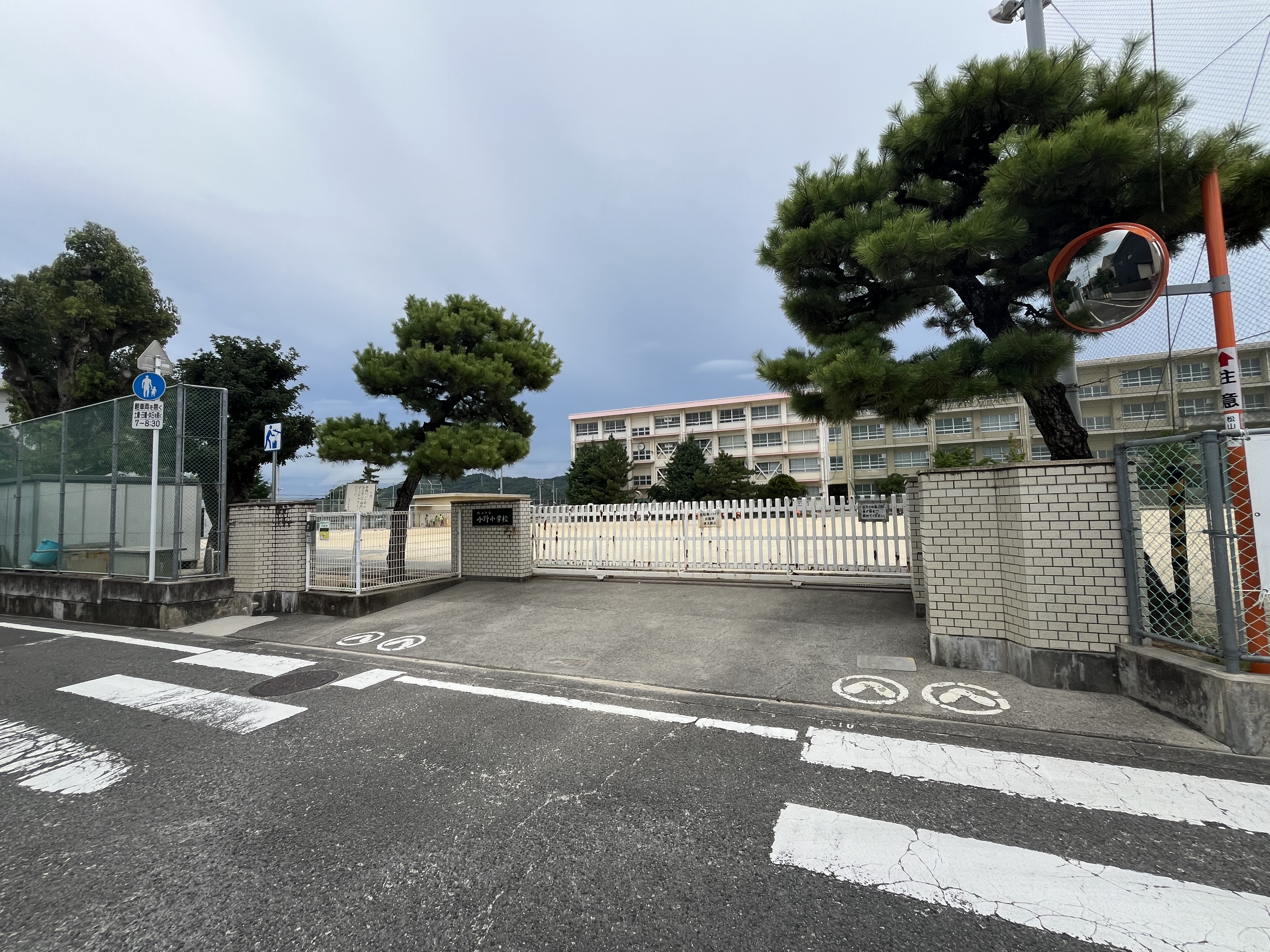 1.松山市立小野小学校900ｍ12分