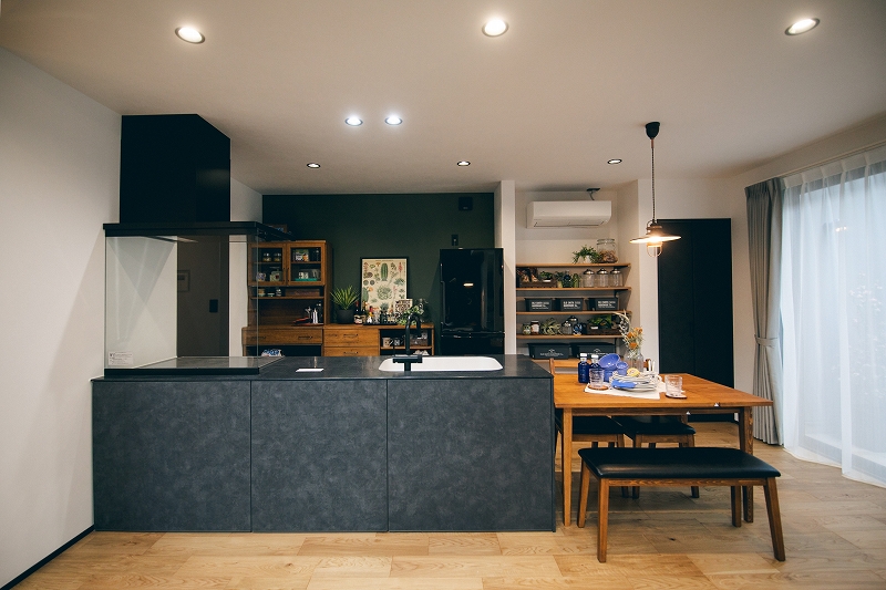 House image